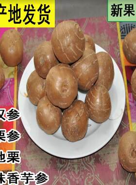 香地栗单县罗汉参香栗参金丝吊葫芦海门香芋地栗子土栾儿【中果】