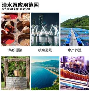 全不锈钢水泵国标30潜水泵清水泵清污两用耐腐蚀2240ODAV380V