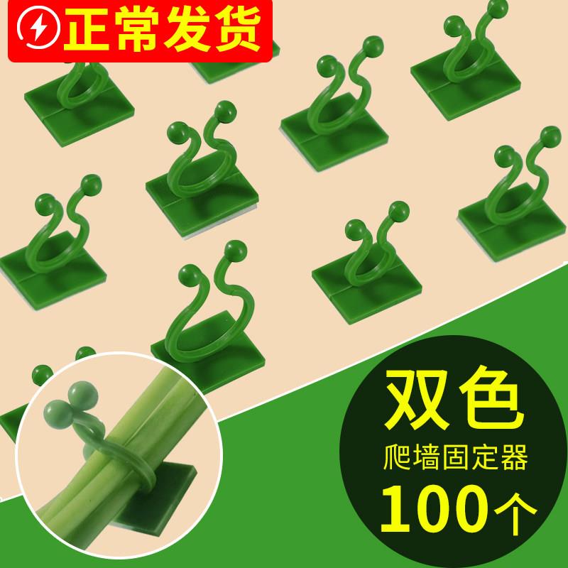 吊兰无痕双面花园花盆多层黄金葛墙上固定器支架扣环卡扣黏钩悬挂
