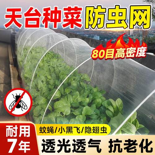 纱网防虫网种菜专用大棚80目加密加厚农用种菜防鸟养殖场纱门纱窗