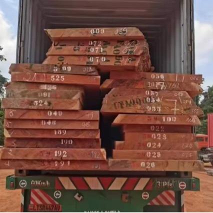 小巴花赞比巴亚巴花安哥拉小花原木板BIA方家具装小修用材大巴花
