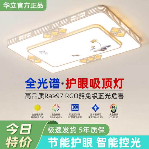 2025年新款LED吸顶灯房间卧室灯客厅灯大厅现代简约大气中山灯具3