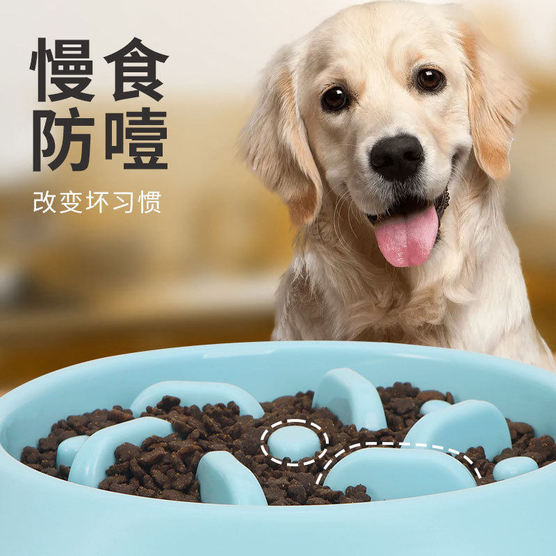 拉布拉多宠物猫宠物水盆慢食碗