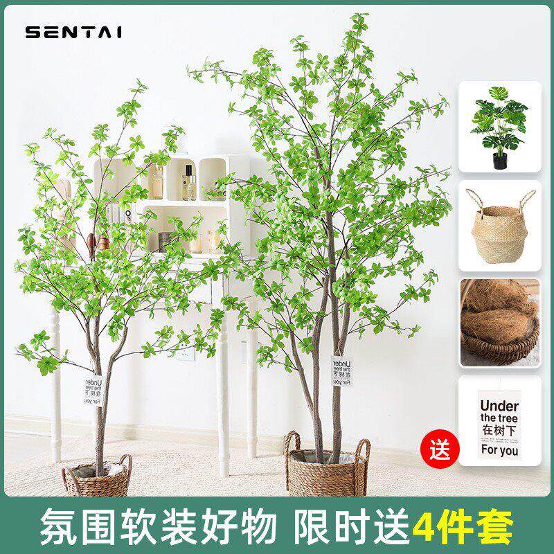 彷真吊钟树马醉木植物服装店彷生假绿植装饰盆栽室内客厅落地摆件