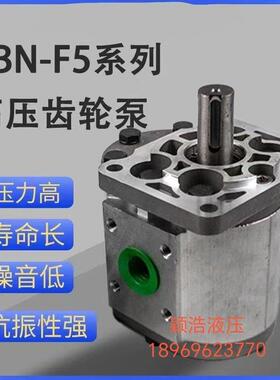 液压齿轮泵CBN/CBT-E532/540/550/563/580农用车自卸油泵