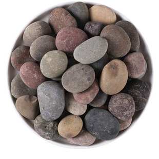 铺路河道鹅卵石电站变压器石河卵石园林造景鱼缸石头河滩石豆石