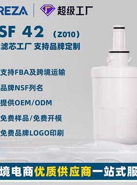 海外冰箱专用水过滤器Z010适用da29-00003g冰箱过滤器活性炭滤芯
