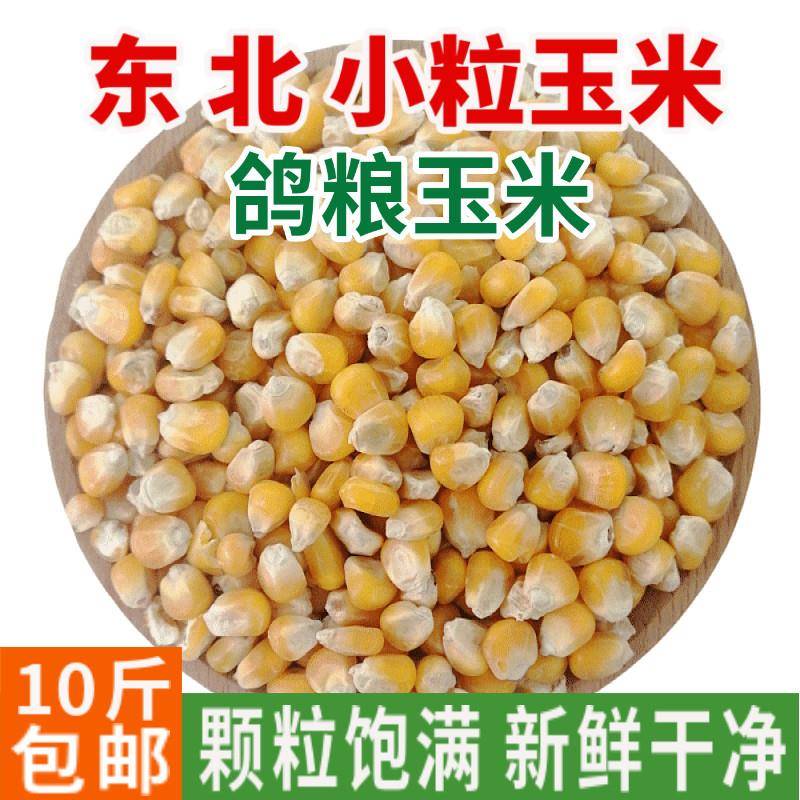 玉米粒干玉米籽鸡鸭鹅鸟饲料鸽粮玉米小粒喂鸽子粮食散装10斤包邮