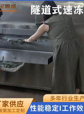 -45°快速冷冻设备黄桃菠萝蜜冷冻果蔬加工机器商用果蔬单冻机