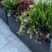 加厚不锈花箱花组合户隔271外池围栏外摆长方钢形花盆酒店断市政