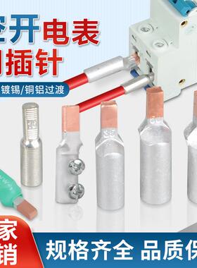 空开插针电表接线端子DTLC45铜铝过渡线鼻DTD紫铜插针断路器接头