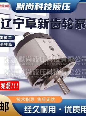 辽宁阜新液压油泵CB-B160/200/250/315/350/400/500/550齿轮泵