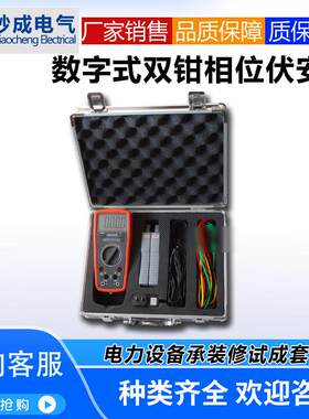 数字式双钳相位伏安表专业生产厂家