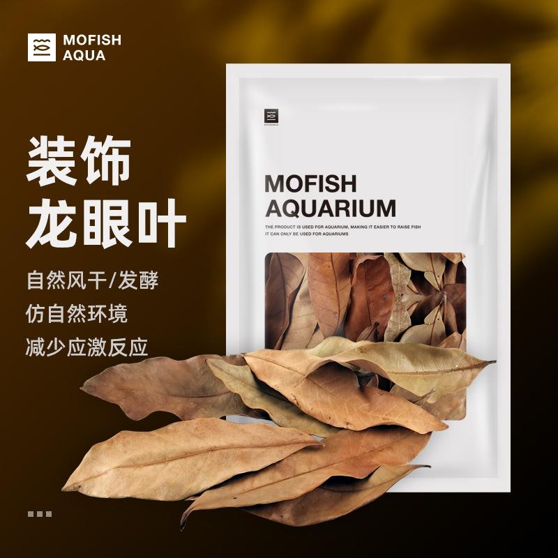 墨鱼龙眼叶龟缸原生态龟缸造景装饰乌龟调节水族南美缸原生缸造景