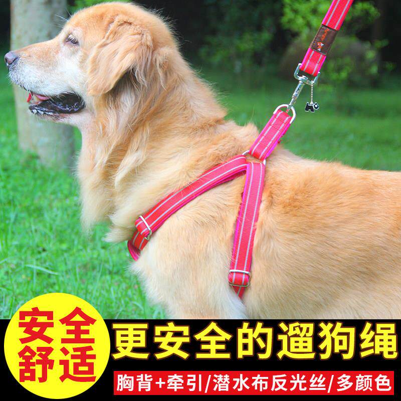 结实反光狗链子狗牵引绳胸背带遛狗绳子项圈脖圈中大型犬牵引带