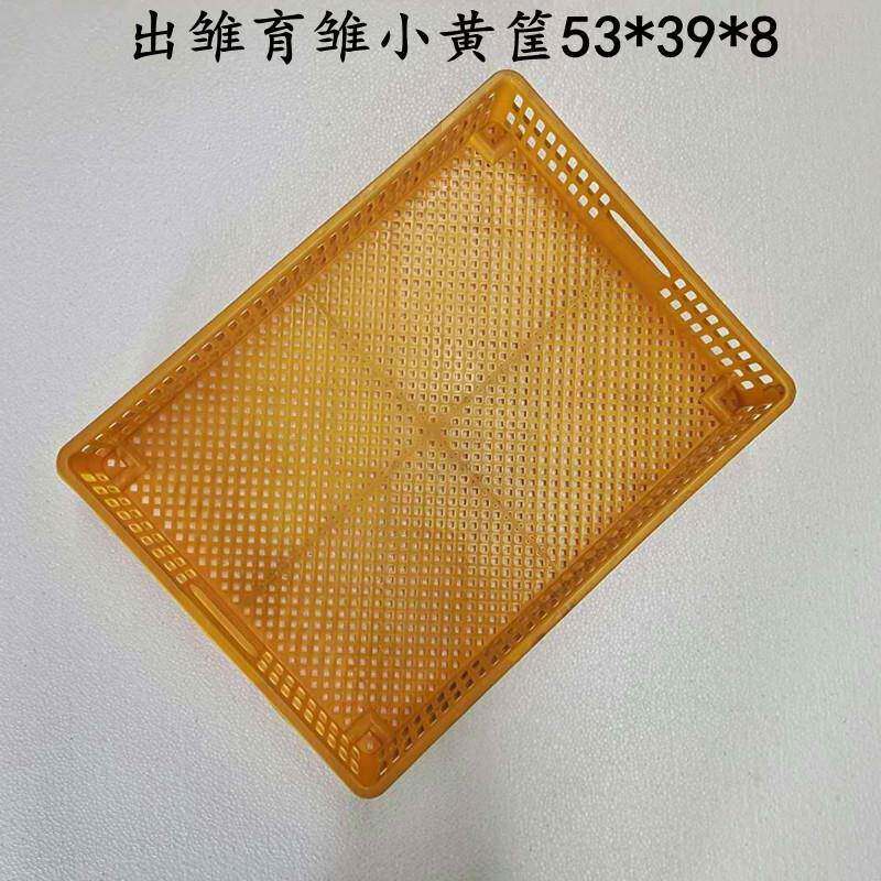 鸡笼运输中转筐小鸡出壳育雏框全自动孵化机配件厂供应88枚出雏箱