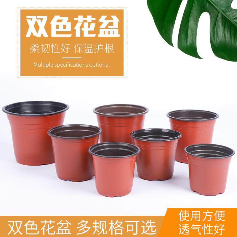 厂价销售双色多肉花盆绿植园艺用品塑料简易盆育苗盆植物