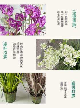 仿真洋葱草落地植物摆件办公室客厅绿植装饰葱花洋葱草假绿植盆栽