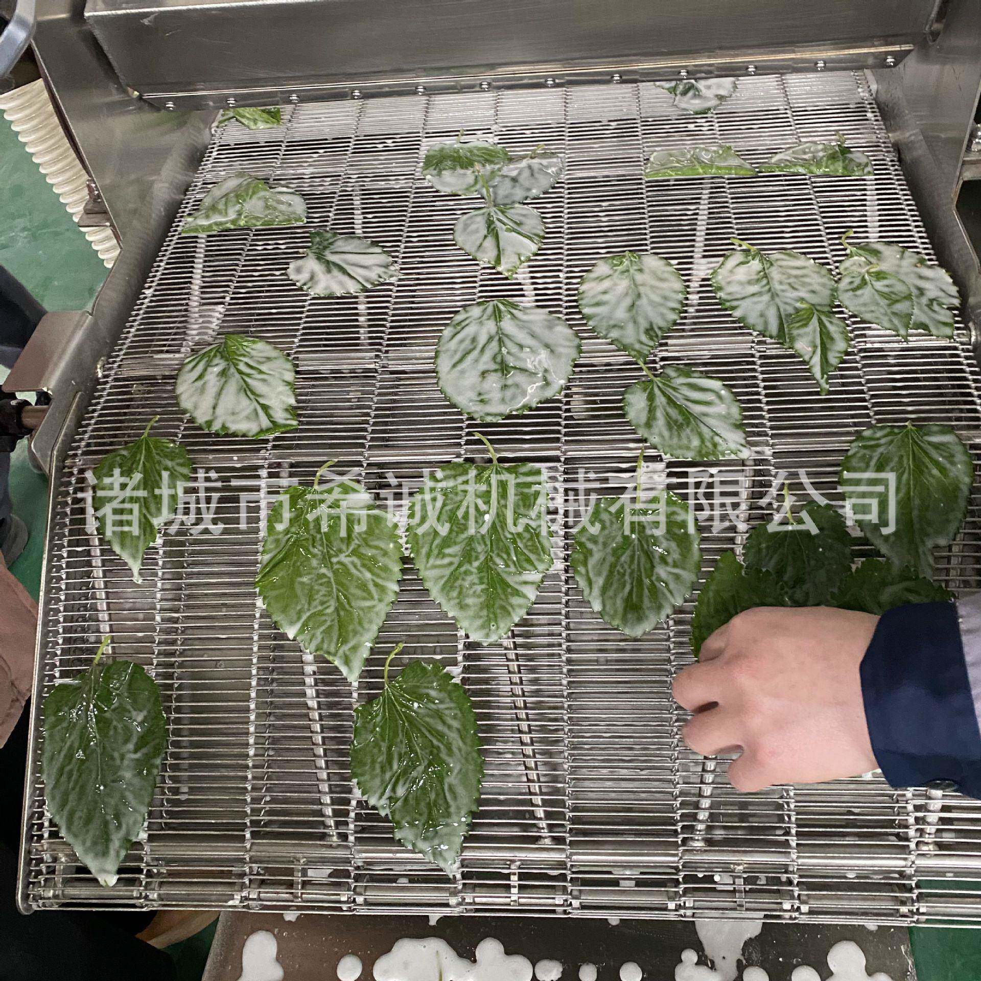 全自动变频调速淋浆机豆腐干油炸食品裹浆设备商用食品机械
