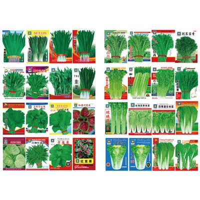 Tomato Seed garden plants Bonsai organic fruit and vegetabl