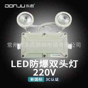 东君02I常规220v停电应急IP65疏散照明防爆双头指示灯
