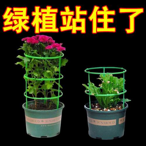 Indoor decorative flower stand, support rod for climbing pla