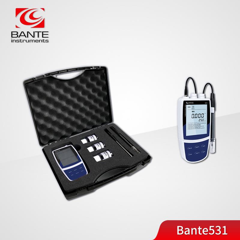 BANTE/般特Bante531便携式电导率/盐度计户外EC/盐度测量