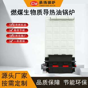 26000KW2200万大卡燃煤生物质导热油锅炉自动给料大型工业厂用
