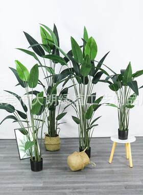 北欧天堂鸟仿真植物盆栽室内客厅落地装饰绿植鹤望兰美人蕉仿真树