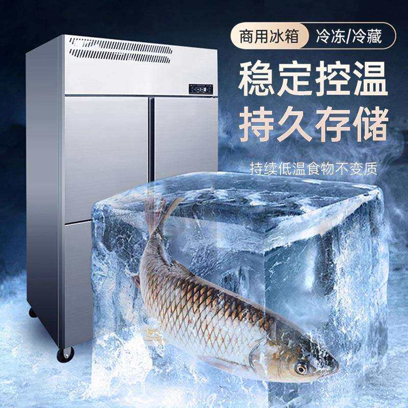 冰柜保温商用冷冻柜四门大容量冷藏冷柜冰箱奶茶保鲜柜六门-18°