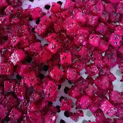 商用火龙果切丁机刀盘式木瓜芭乐切丁设备全自动冬瓜切丁机