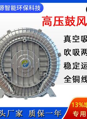 2PB 710 H37防爆高压风机 耐腐蚀涡流风机 矿井隔爆抽气旋涡气泵