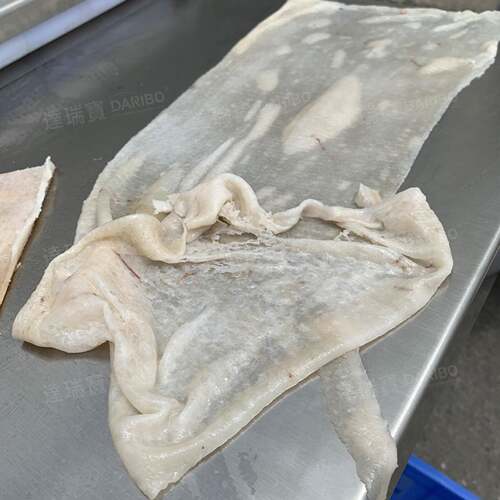 W猪皮去油机刮油设备商用 全自动猪皮牛皮去油机 熟猪皮去油机器