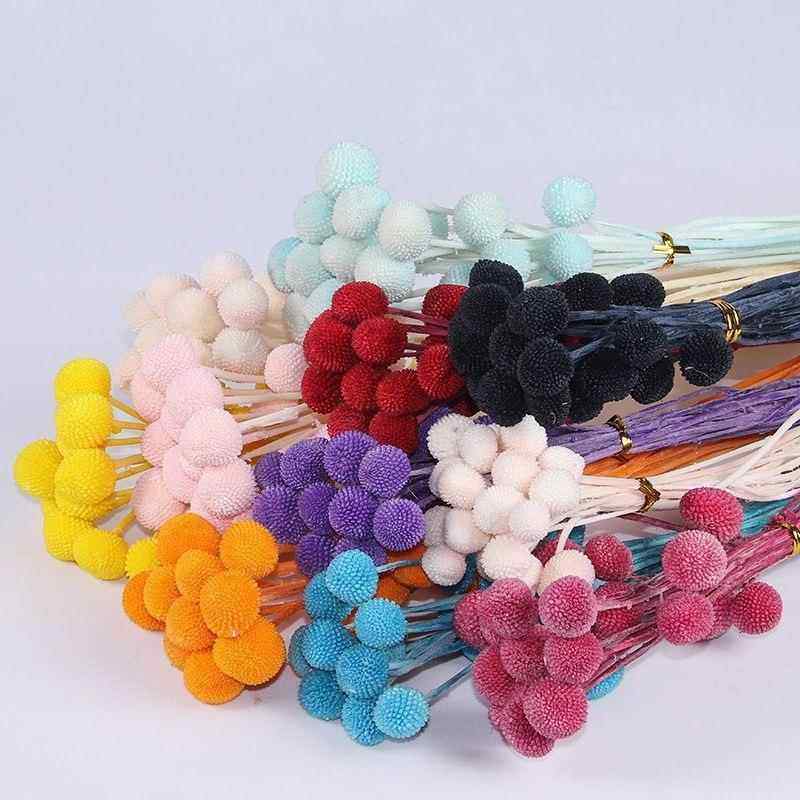 永生球云南真花干花乒乓菊多色手工家居客厅房间装饰配件