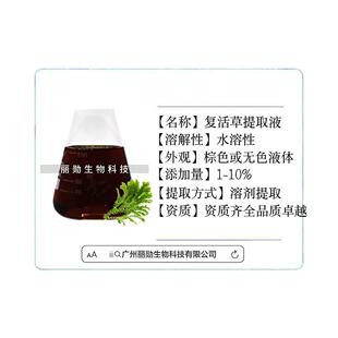 卷柏提取液原料 植物提取液 复活草提取物 复活草提取液