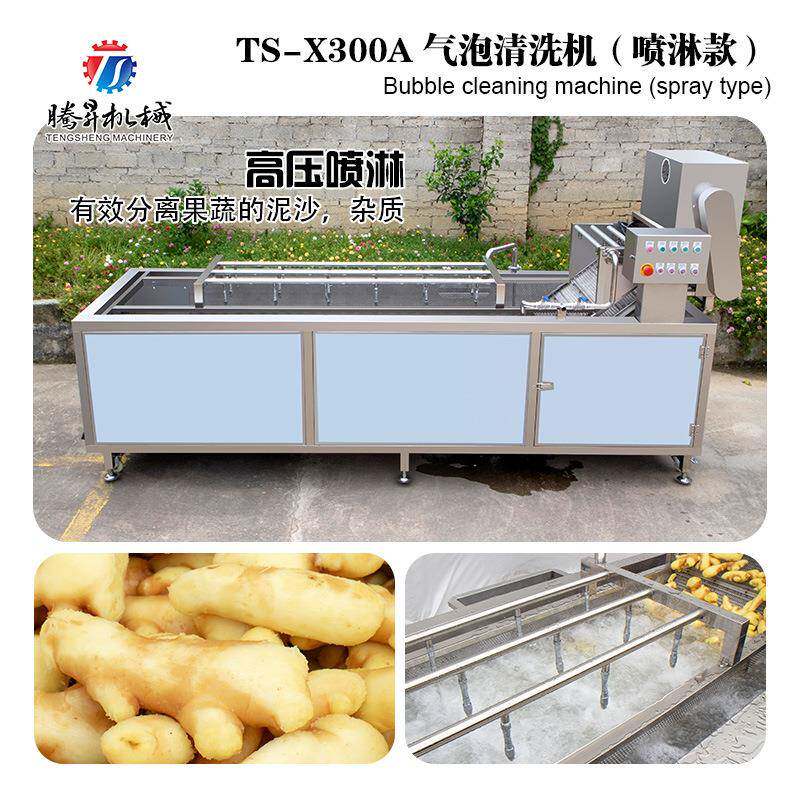 果蔬清洗设备 气泡臭氧双重功能竹篙草清洗机 大型超声波清洗机