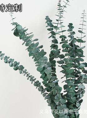 尤加利叶金钱叶枝仿真绿植假花摆件插花北欧风装饰摆放落地现代
