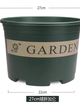黑加仑花盆花盆园艺用品草莓花瓶