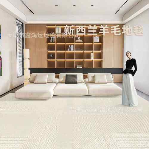 新西兰羊毛轻法式地毯客厅奶油风高级感沙发茶几毯卧室床前毯垫