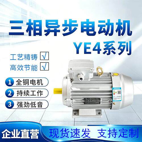 YE4三相异步电动机4极B3B5B35型号齐全源头厂家