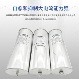上海民恩 低压并联电容器圆柱形BSMJ0.48-20-3补偿20KAVR 480V