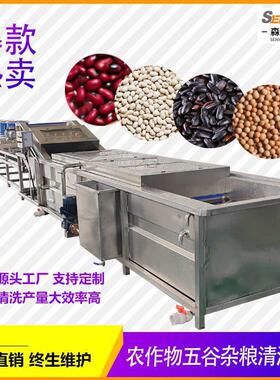 大豆清洗机农作物粮食加工气泡清洗设备五谷杂粮水洗机燕麦清洗机