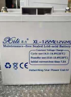 犀力蓄电池XL12V免维护17AH24A38A40A65A100AH消防直流屏UPS电源