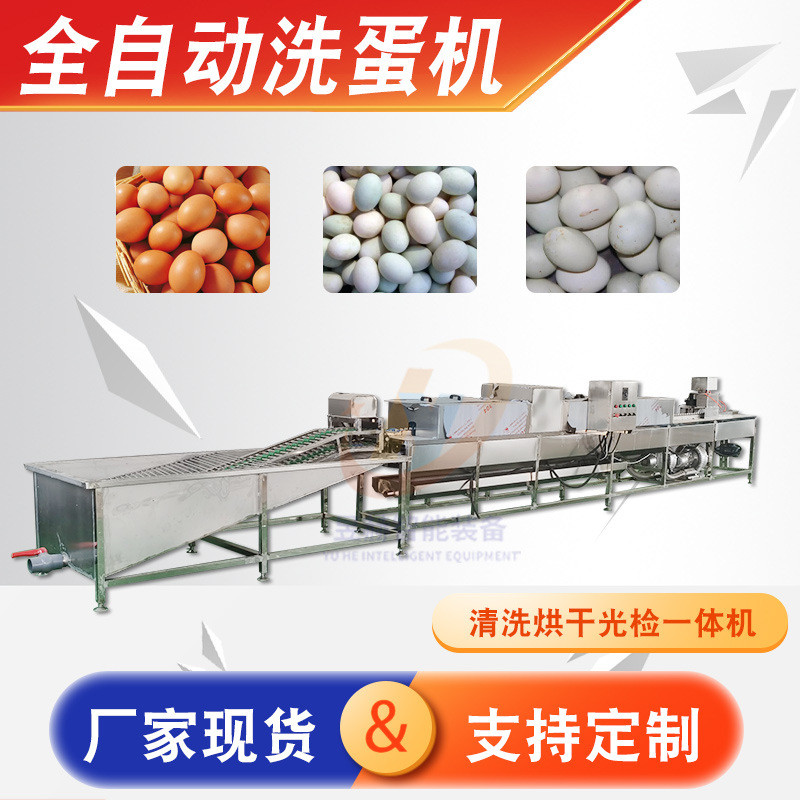养殖场商用鸡鸭蛋类洗蛋机 全自动蛋类洗蛋烘干光检照蛋流水线