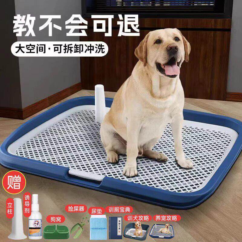 日本狗狗定点排便小型犬中型犬宠物狗大小便上厕所专用