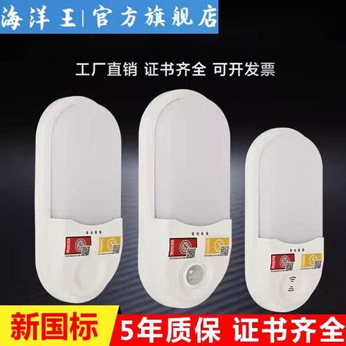 海洋王照明消防应急壁灯led新国标声光控人体感应楼道疏散指示灯