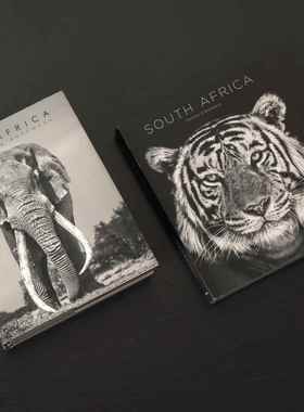 OPEN装饰书动物世界样板房书房儿童房书架摆件摆场拍摄真书可翻阅