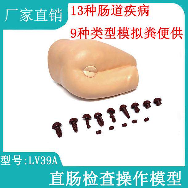 直肠检查操作模型高级直肠指诊检查模型_肛诊模型直肠诊断模型