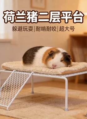 荷兰猪窝双层平台躲避屋耐啃耐咬超大号宠物豚鼠侏儒兔龙猫用品