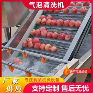 全自动果蔬气泡清洗机杨桃气浪式清洗机山竹高压气泡清洗机械设备